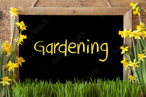 Spring Flower Narcissus, Chalkboard, Text Gardening photo