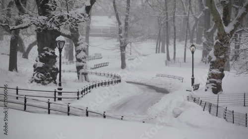 Snow In New York Central Park