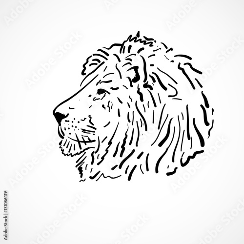 silhouette lion
