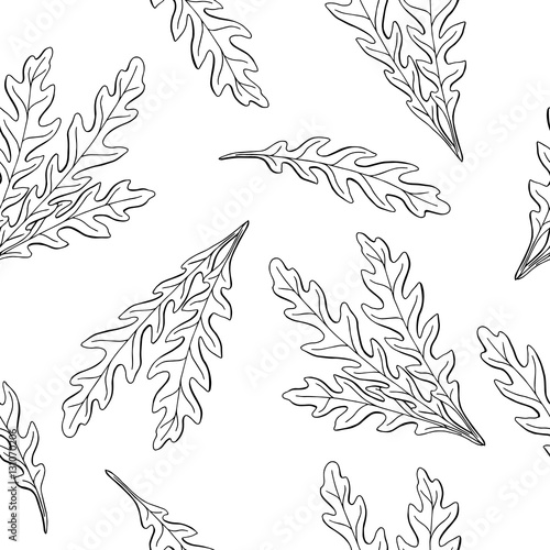 Arugula graphic black white sketch seamless pattern illustration vector