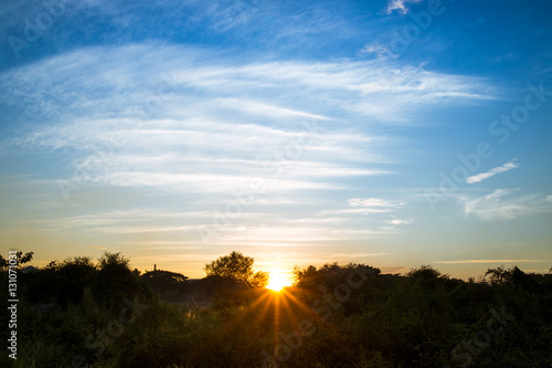 field with grass against the sunset sky