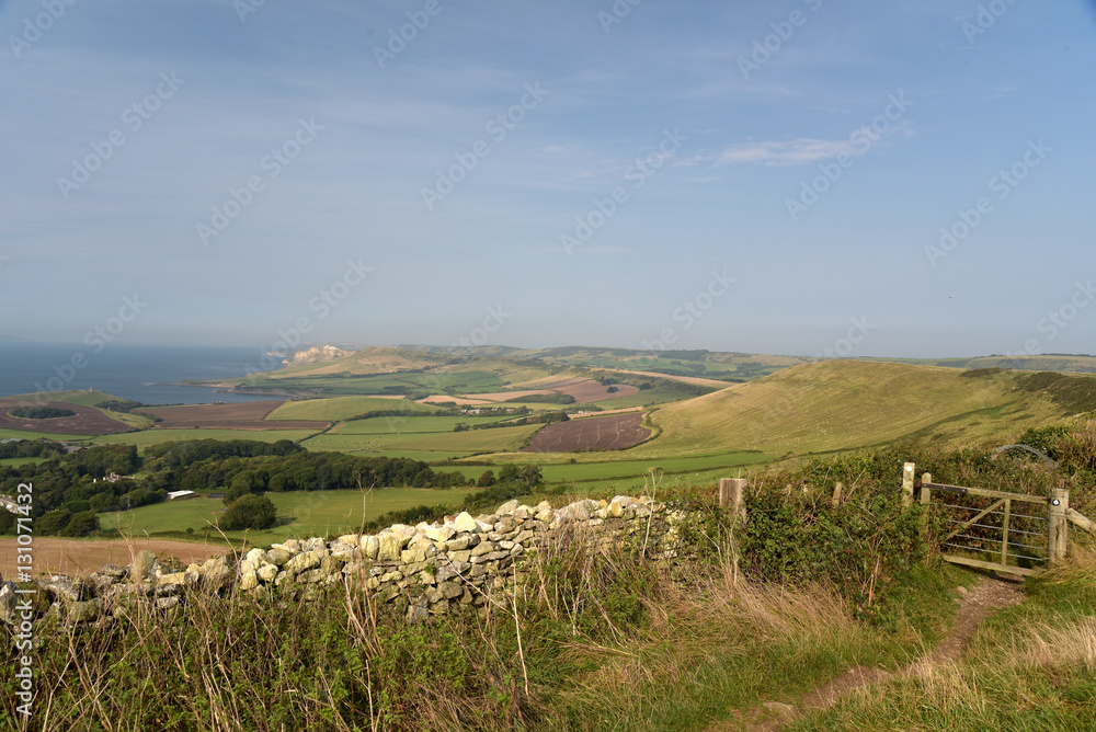 Footpath over Swyre Head on Dorset coast