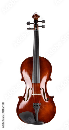 violin on a white background