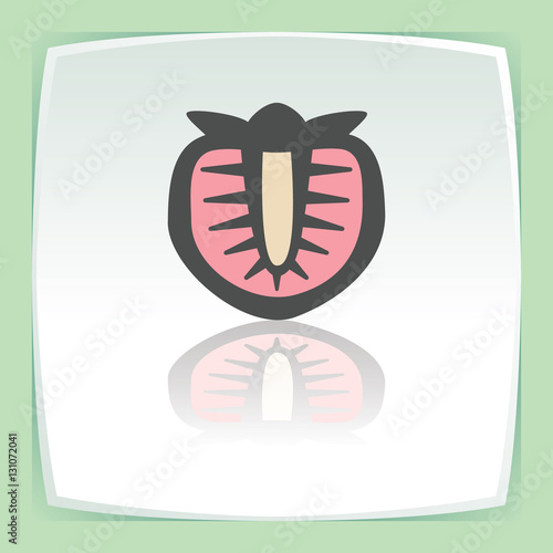 Vector outline strawberry fruit icon. Modern infographic logo and pictogram.