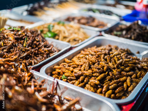 Fried insects on the streets of Khao San Road in Bangkok, Thailand © shantihesse