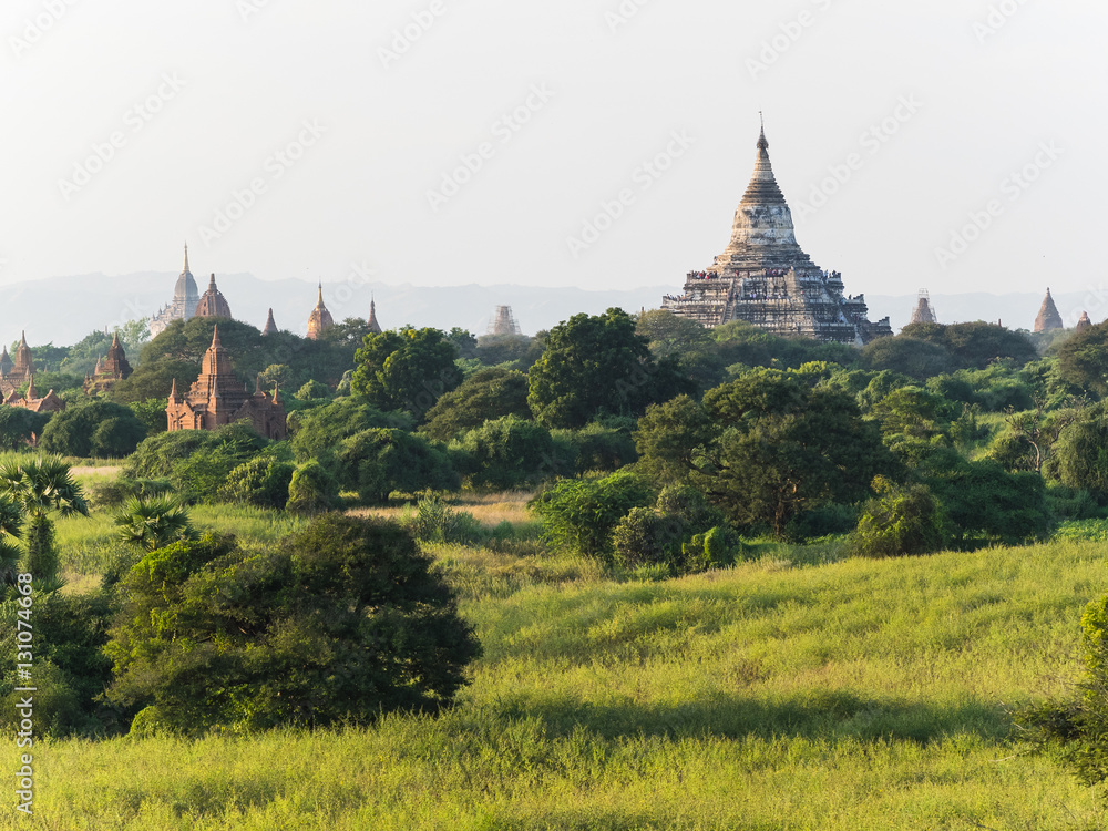 Obraz premium View over the temples of Bagan at sunrise