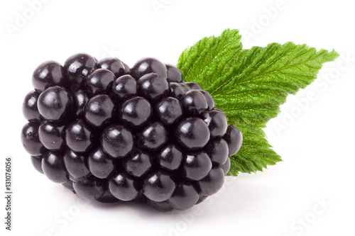 blackberry with leaf isolated on a white background closeup