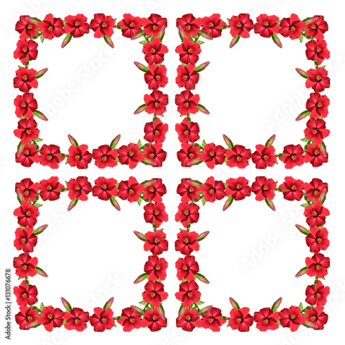 Pattern of red hibiscus on a white background 