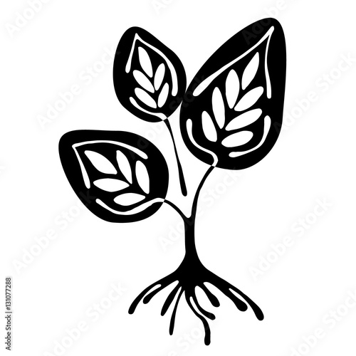 Vector hand drawn illustration, decorative ornamental stylized tree. Black and white graphic illustration isolated on the white background. Inc drawing silhouette. Decorative artistic ornamental wood