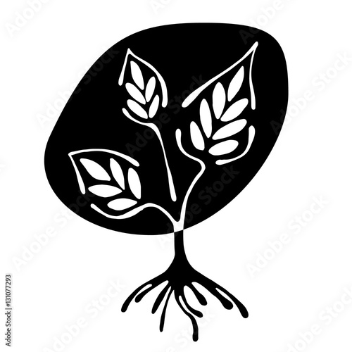 Vector hand drawn illustration, decorative ornamental stylized tree. Black and white graphic illustration isolated on the white background. Inc drawing silhouette. Decorative artistic ornamental wood