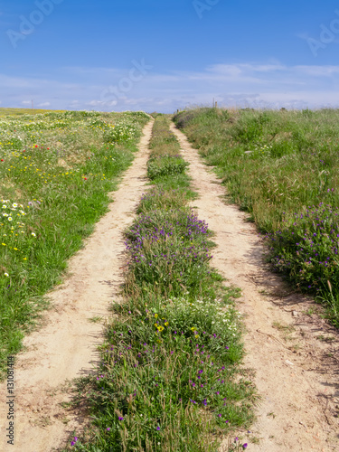 Dirt road track in a country landscape during spring