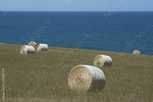 Field Hay Bales and Ocean View at Kings Beach, Fleurieu Peninsula
