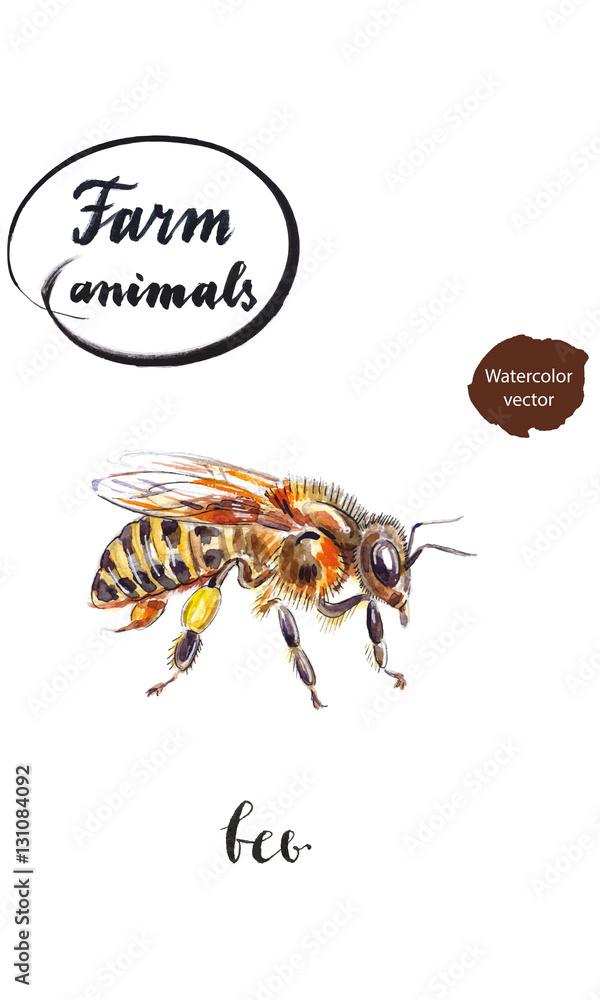 Small bee with honey on paw Small bee with honey on paw