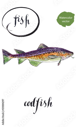 Fresh sea fish: codfish