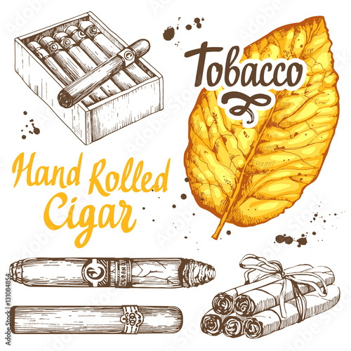 Vector illustration with classical smokeking set. Bunch of tobacco and box  hand rolled cigars, leaf in sketch style. Best cuban quality.