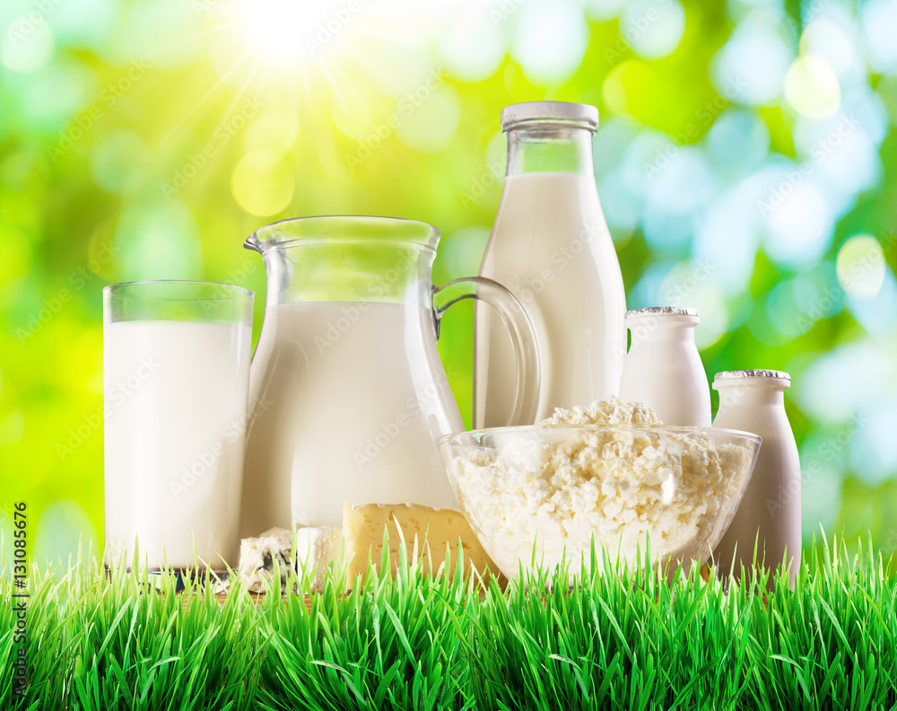 Organic milk product on the green grass. Blurred sunny nature ba Organic milk product on the green grass. Blurred sunny nature ba