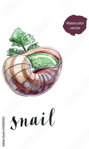 Cooked snail with leaf of parsley