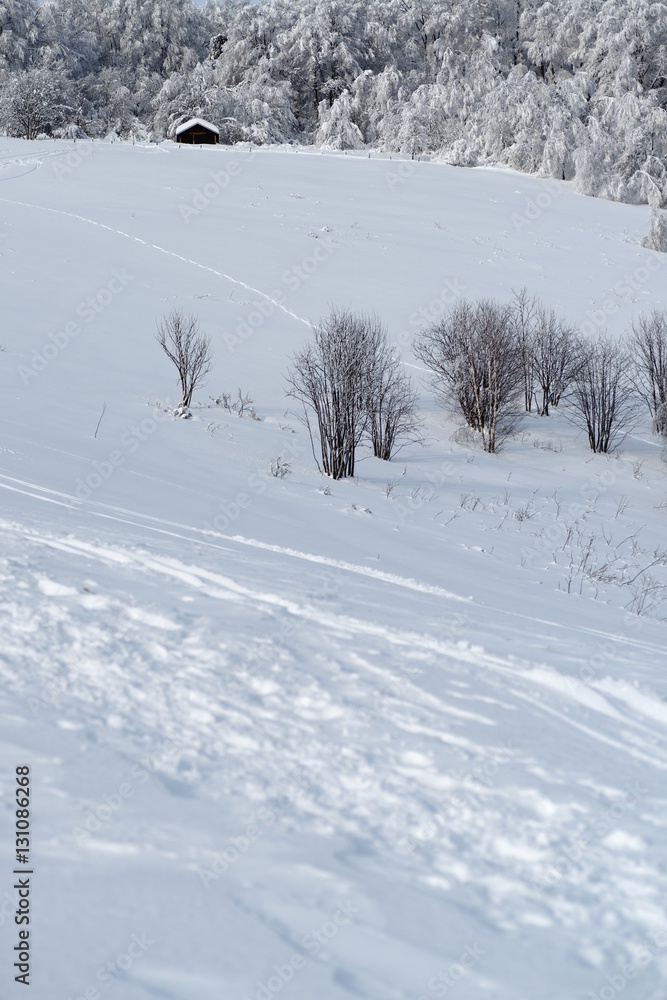 Mont Menard Chalet