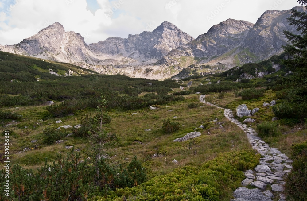 Dolina Zielona Gasienicowa mountain valley with stone hiking trail, grass and peaks in polish part of High Tatras mountains