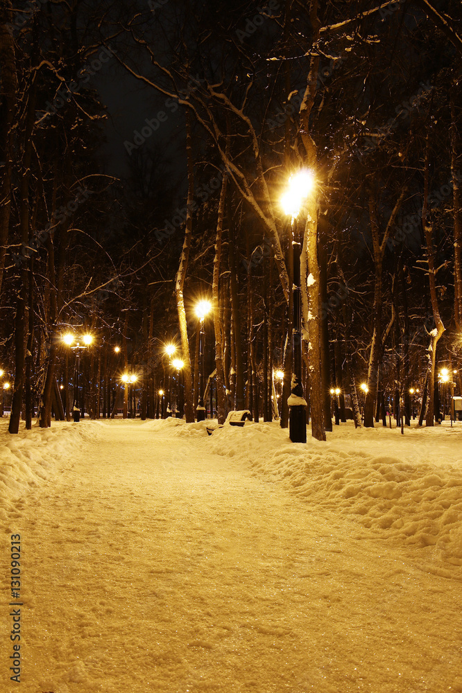 Alley in the night in a deserted park in winter snowy weather