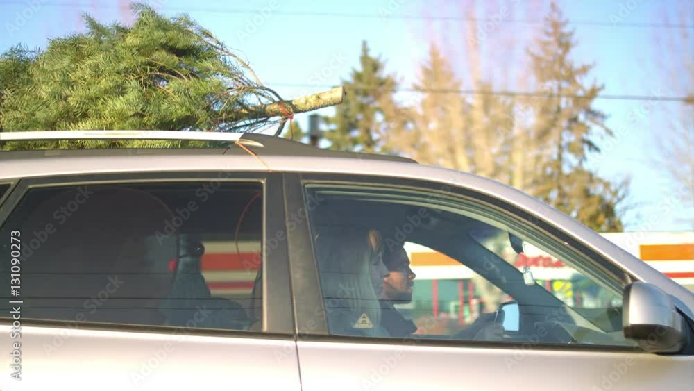 Young man and woman driving with a Christmas tree on top of their car Young man and woman driving with a Christmas tree on top of their car