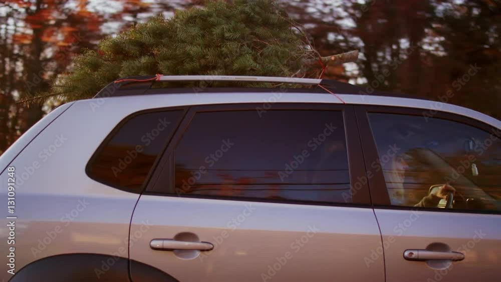 Young man and woman driving with a Christmas tree on top of their car Young man and woman driving with a Christmas tree on top of their car