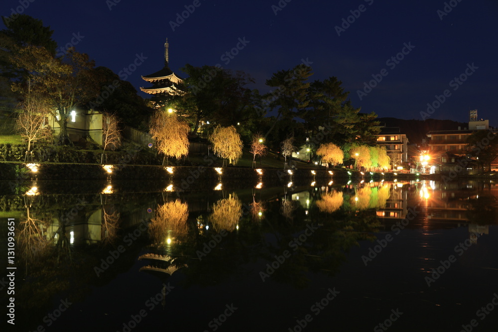 奈良　猿沢の池