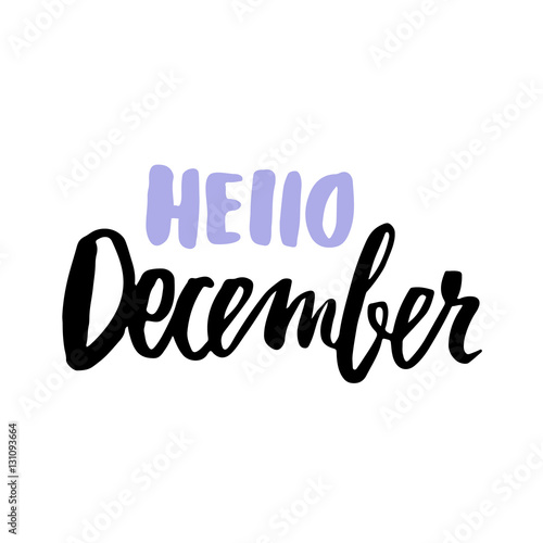 Hello december! The inscription  handdrawing of  ink on a white background. Vector Image. It can be used for website design, article, phone case, poster, t-shirt, mug etc.