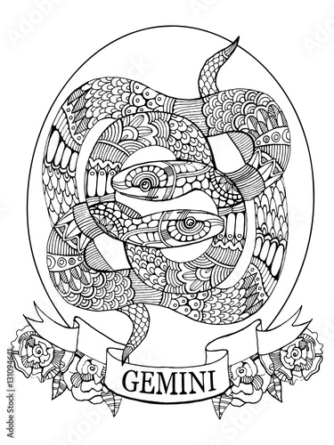 Gemini zodiac sign coloring book for adults vector