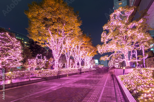 Photography Winter illumination in Tokyo at Shinjuku district, Japan