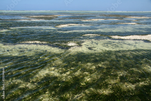 Matemwe Beach, Zanzibar photo