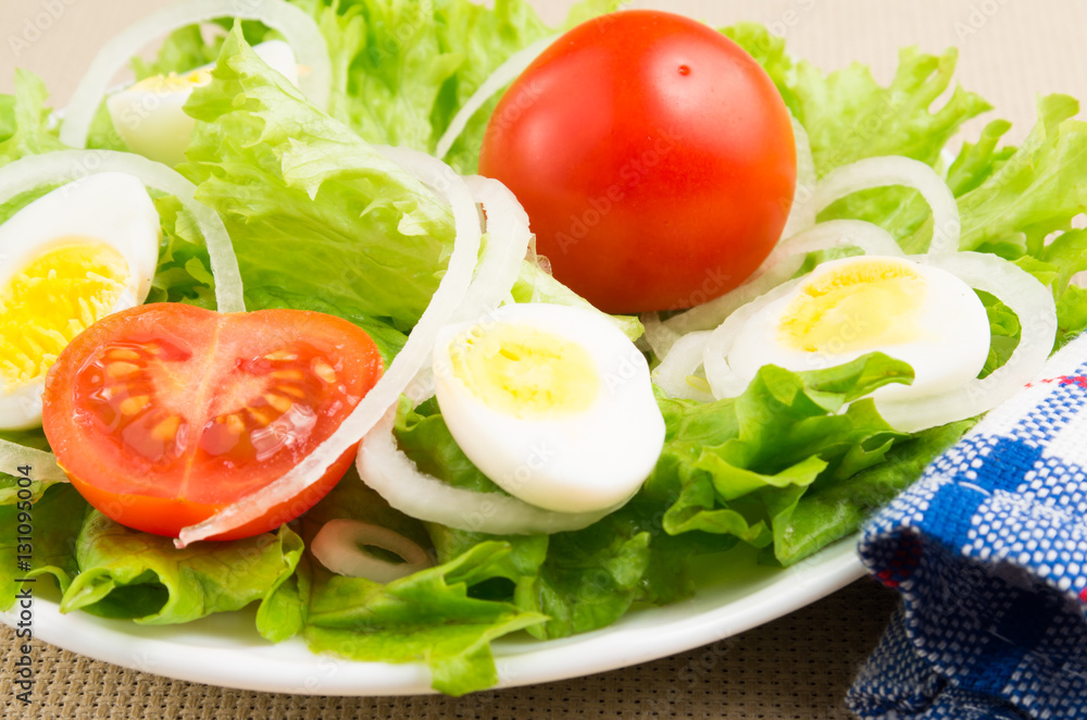 Close-up of a small portion of fresh dishes