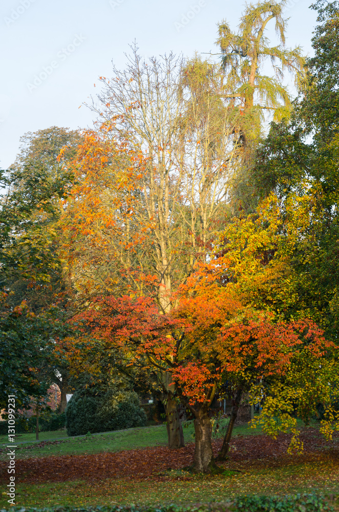 London park in autumn