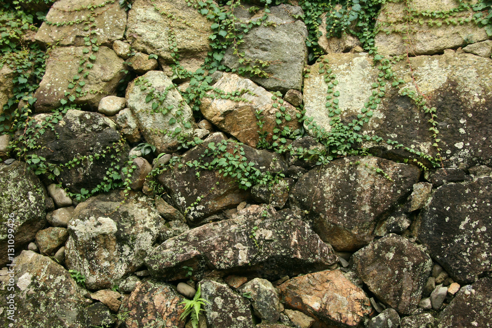 Rock Wall