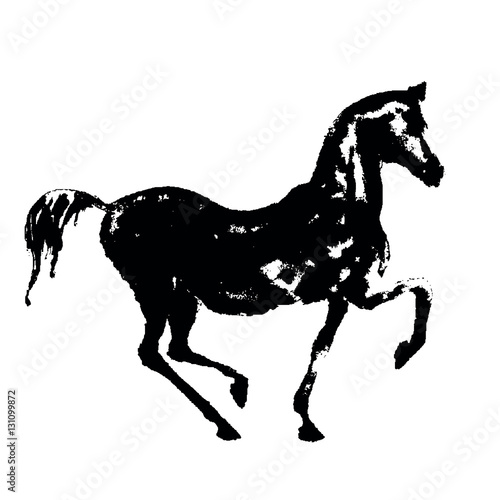 Black ink horse silhouette on white. Hand drawn vector  illustration.