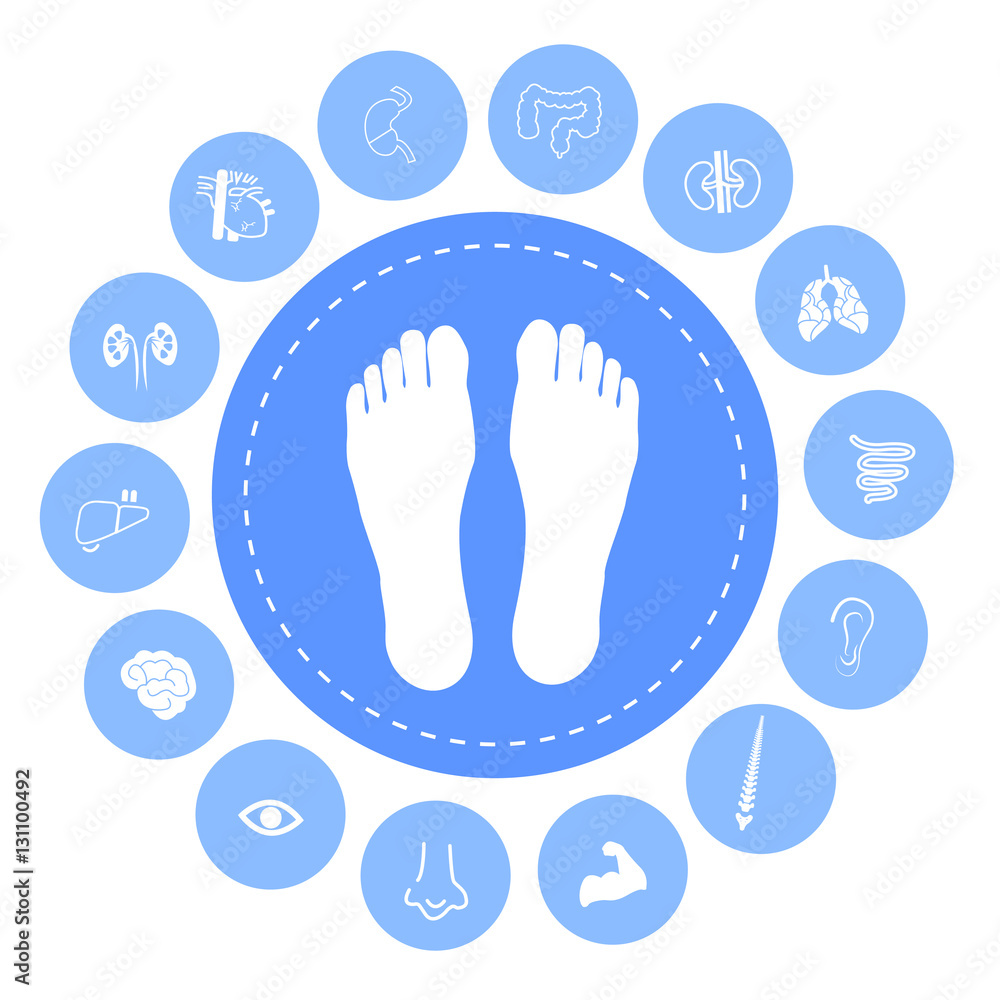 Infographic Foot Massage Point For Body Parts Guide Stock Illustration Infographic Foot Massage Point For Body Parts Guide Stock Illustration