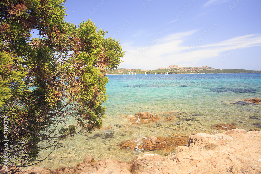 In Sardegna mare e cielo, acqua e rocce, acqua limpida, sole sull'isola. 
