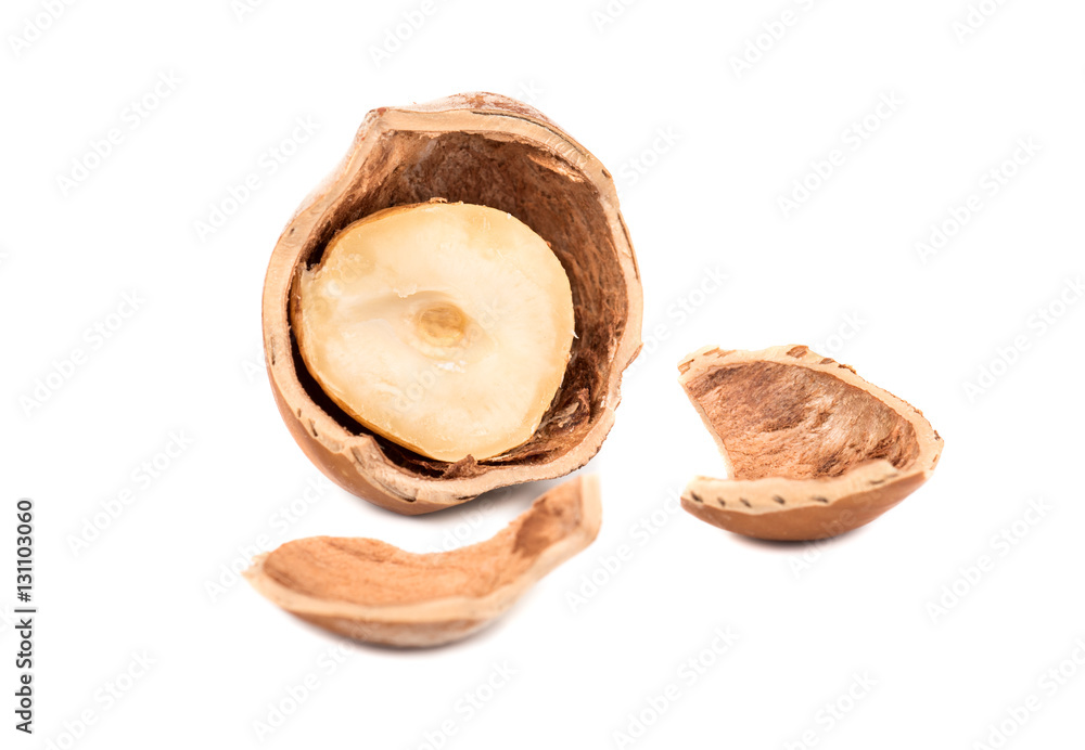 Half of hazelnut with fragments Half of hazelnut with fragments