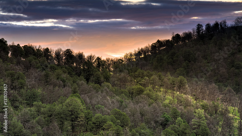 Forest and Valley Sunrise:  Lincoln National Forest, New Mexico