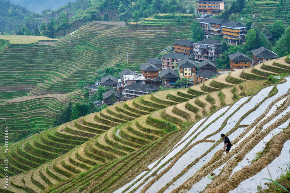 Yaoshan Mountain, near the city of Guilin,  Province of Guangxi. China hillside rice terrace landscape with the village