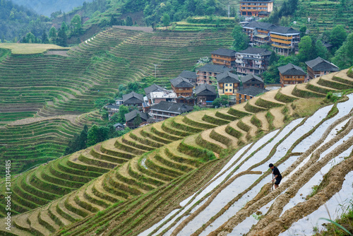 Yaoshan Mountain, near the city of Guilin, Province of Guangxi. China hillside rice terrace landscape with the village