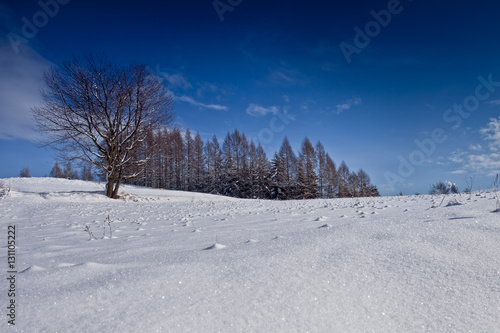Słoneczny zimowy dzień w górskim mieście Muszyna. Sunny winter day in the mountain in Muszyna - Poland.
Polish mountain landscape
