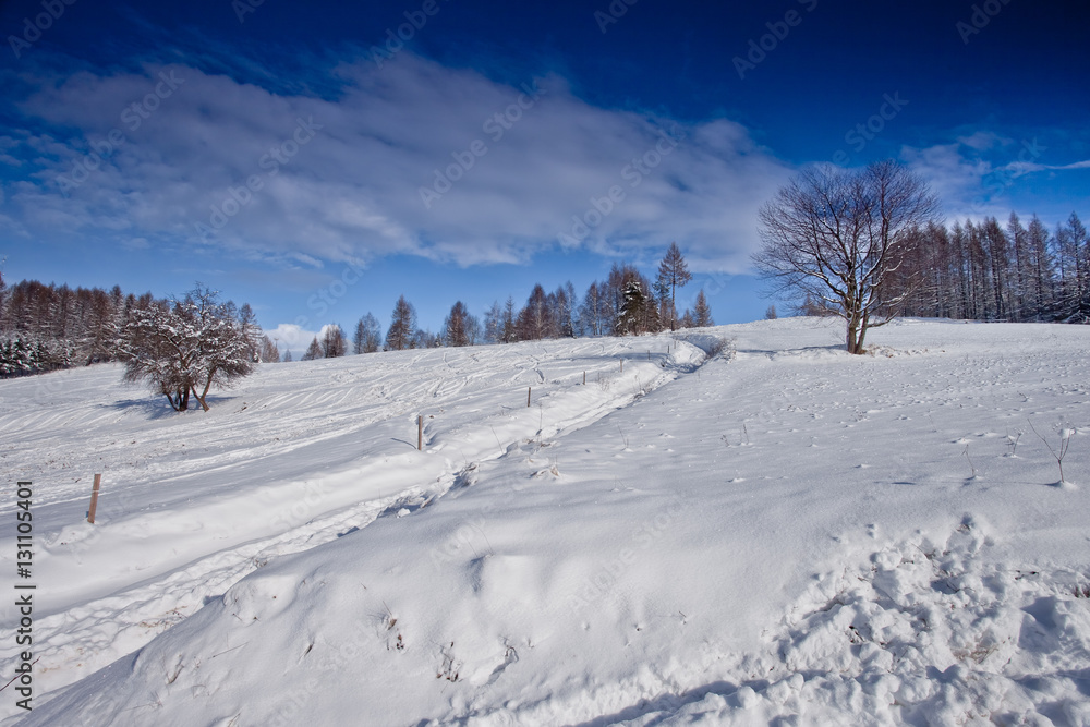 Obraz premium Słoneczny zimowy dzień w górskim mieście Muszyna. Sunny winter day in the mountain in Muszyna - Poland. Polish mountain landscape 