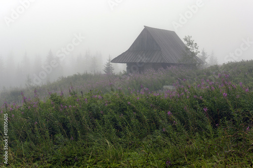Misty mountain valley in the Tatra Mountains