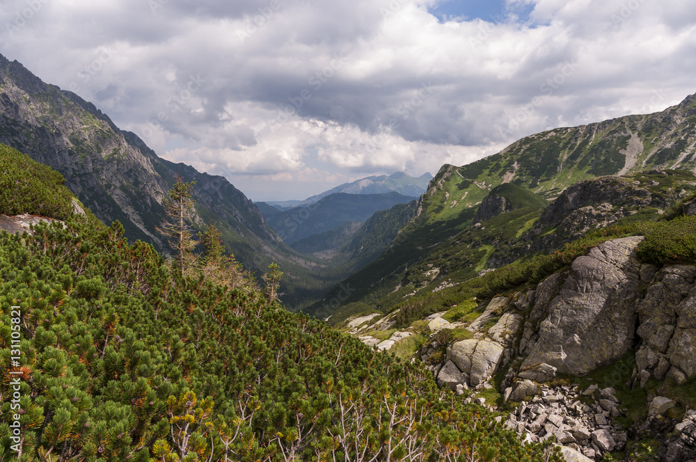Beautiful summer landscape in the High Tatras
