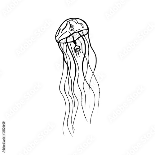 Vector painting jellyfish. Medusa Illustration isolated on white background, element tattoo design, cartoon, doodle..