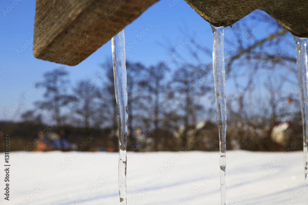 Fototapeta premium nature in winter
