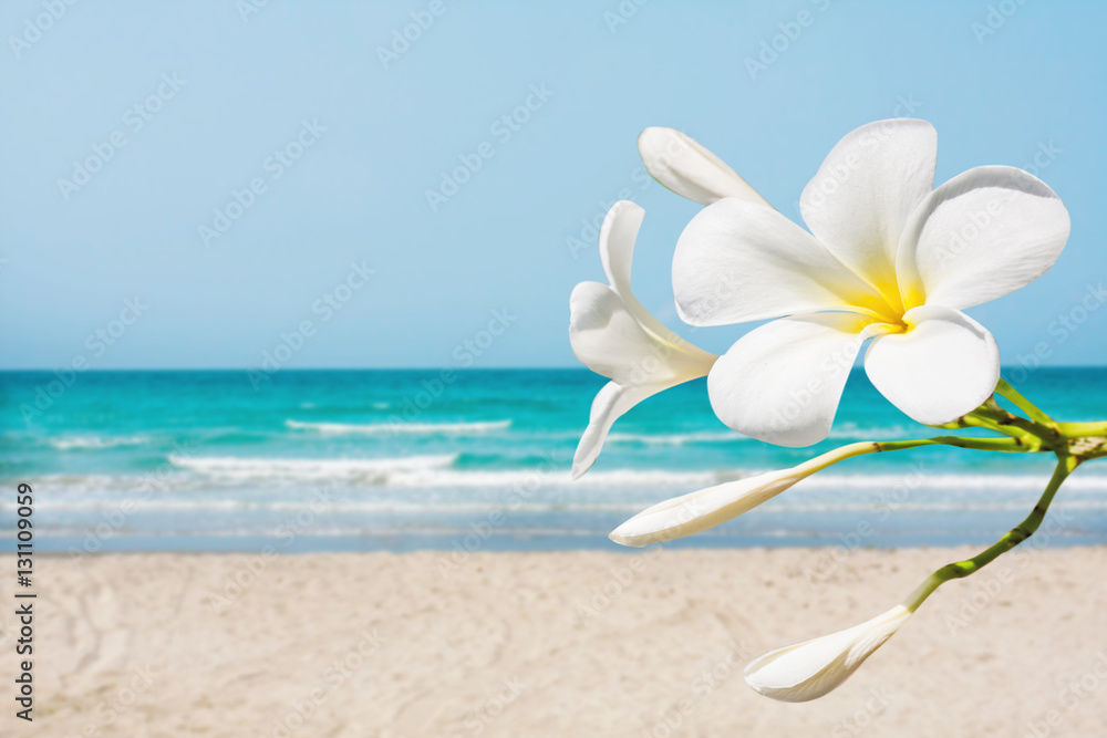 soft focus of Plumeria with white sand and beautiful blue sea over clear blue sky. soft focus of Plumeria with white sand and beautiful blue sea over clear blue sky.