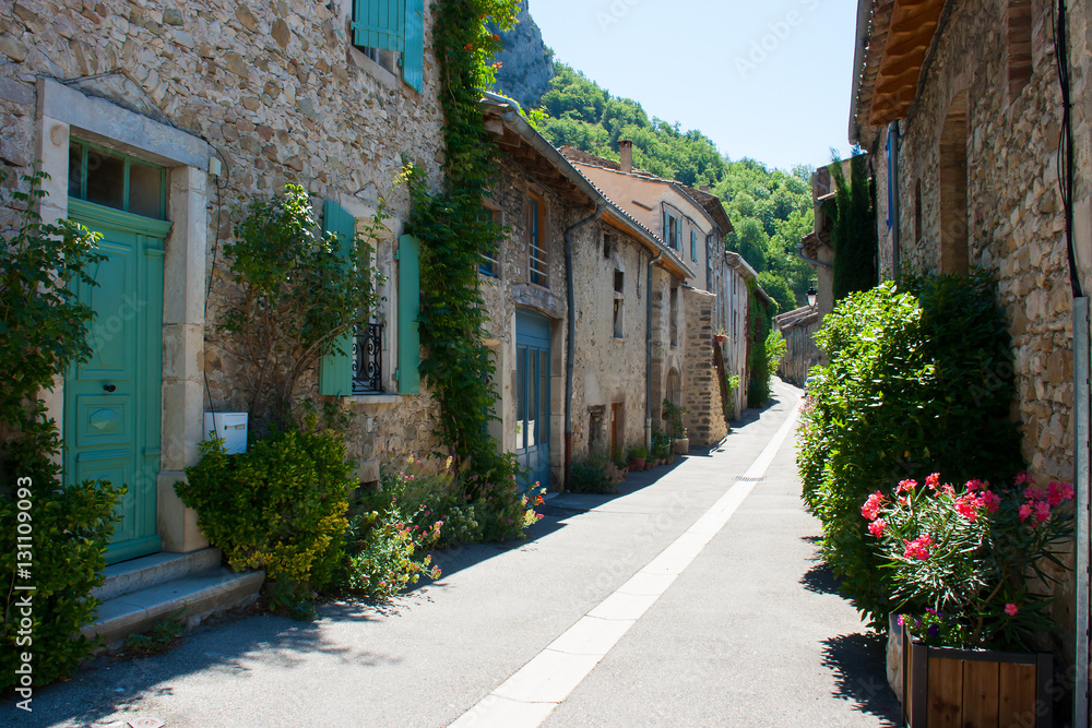 Fototapeta premium Shady Street with stone built hoses and doorstep planting in rural France