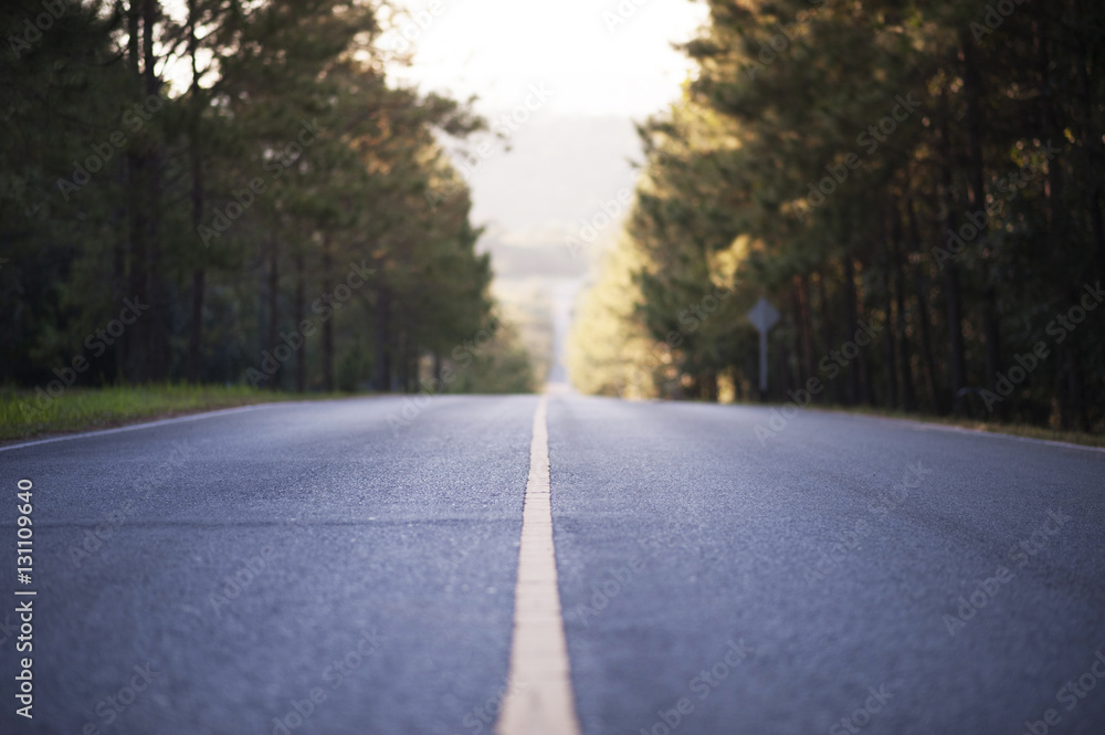 Fototapeta premium Morning light on the road.